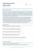 Vorschau - Arbeitsblätter - Arbeitsblatt Physik Klasse 9 - Schallwellen und ihre Eigenschaften - Deckblatt