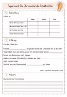 Vorschau - Stundenentwürfe - Forscherprotokoll "Die Ohrmuschel als Schalltrichter" aus dem Materialpaket "Sinne Experiment-Paket" - Seite 3