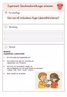 Vorschau - Stundenentwürfe - Forscherprotokoll "Geschmacksrichtungen erkennen" aus dem Materialpaket "Sinne Experiment-Paket" - Seite 2