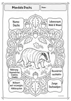 Vorschau - Arbeitsblätter - Kreativkiste - Mandalas mit Steckbriefwissen | Waldtiere - Seite 2