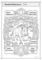 Vorschau - Arbeitsblätter - Kreativkiste - Mandalas mit Steckbriefwissen | Waldtiere - Seite 3