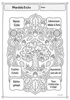 Vorschau - Arbeitsblätter - Kreativkiste - Mandalas mit Steckbriefwissen | Laub- und Nadelbäume - Seite 3