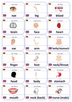 Vorschau - Fördermaterial/Inklusion - Englisch Flashcards: Körper & Gesundheit - Seite 1