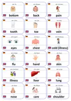 Vorschau - Fördermaterial/Inklusion - Englisch Flashcards: Körper & Gesundheit - Seite 2