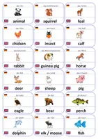 Vorschau - Fördermaterial/Inklusion - Englisch Flashcards: Tiere - Seite 1