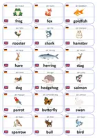 Vorschau - Fördermaterial/Inklusion - Englisch Flashcards: Tiere - Seite 2