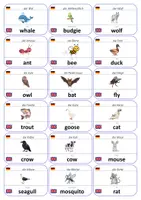Vorschau - Fördermaterial/Inklusion - Englisch Flashcards: Tiere - Seite 3