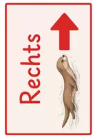 Vorschau - Poster - Richtungspfeile Otter-Klasse | Links & Rechts - Seite 1