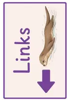 Vorschau - Poster - Richtungspfeile Otter-Klasse | Links & Rechts - Seite 2