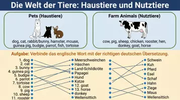 Vorschau - Arbeitsblätter - Englisch Grundschule Wortschatz Paket – 14 Materialien PLUS Lernposter - Seite 1