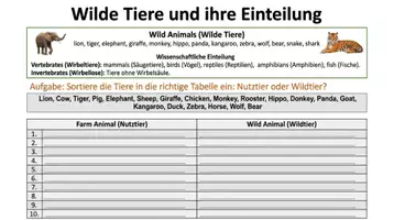 Vorschau - Arbeitsblätter - Englisch Grundschule Wortschatz Paket – 14 Materialien PLUS Lernposter - Seite 2