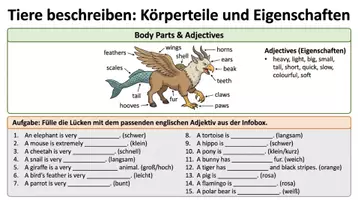 Vorschau - Arbeitsblätter - Englisch Grundschule Wortschatz Paket – 14 Materialien PLUS Lernposter - Seite 3