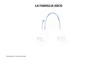 anteprima - Flashcard - DAL CORPO AL SEGNO - DALLE FORME GENERATRICI ALLE LETTERE - Pagina 2