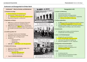 Vorschau - Präsentationen/Tafelbilder - Lernübersichten/Merkzettel zum NS-Terror: Phasen der Judenverfolgung, Euthanasie und Zwangsarbeit, Widerstand gegen den NS - Seite 2
