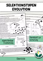 Vorschau - Arbeitsblätter - Selektionstypen Evolution Selektionsdruck Selektionsfaktor - Deckblatt