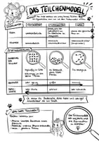 Vorschau - Arbeitsblätter - Teilchenmodell Teil 2: Eigenschaften in der Modellvorstellung - Sketchnote/Arbeitsblatt/Poster für das Fach Physik - Seite 2
