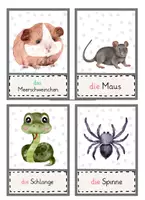 Vorschau - Fördermaterial/Inklusion - Bildkarten Haustiere – 24 Wortschatzkarten mit Artikeln | DaZ A1 | Grundschule - Seite 3