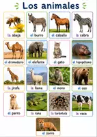 Vorschau - Arbeitsblätter - Los animales – Vocabulario (Übersicht, Suchsel und Arbeitsblatt) - Deckblatt
