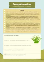 Aperçu - Feuilles d'exercices - Mini Livre de Compréhension Écrite en Français: 5 Textes avec Questions - Page 3