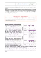 Vorschau - Arbeitsblätter - Grundlagen der Genetik: 1. & 2. Mendelsche Regel – Arbeitsblatt mit Lösung | Berufliche Bildung - Seite 2