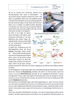 Vorschau - Arbeitsblätter - Grundlagen der Genetik: DNA-Replikation – Arbeitsblatt mit Lösung | Klasse 9/10 - Seite 1