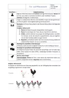 Vorschau - Arbeitsblätter - Genetik: Tier- & Pflanzenzucht – Arbeitsblatt mit Lösung | Klasse 9/10 - Seite 3