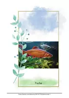 Vorschau - Bildkarten - Stilles Bilderbuch Fische Beschäftigung für Demente Demenz Alzheimer - Seite 2