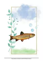 Vorschau - Bildkarten - Stilles Bilderbuch Fische Beschäftigung für Demente Demenz Alzheimer - Seite 3