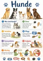 Vorschau - Arbeitsblätter - Lernposter + Arbeitsblätter zum Thema "Hunde" + Lösung & MP3 + Mindmap + Infografik - Deckblatt