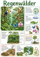 Vorschau - Arbeitsblätter - Lernposter + Arbeitsblätter "Regenwälder" + interaktive Lösungen & MP3s + Mindmap + Infografik - Deckblatt