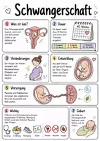 Vorschau - Arbeitsblätter - Lernposter + Arbeitsblätter zum Thema "Schwangerschaft" + Lösung & MP3 + Mindmap + Infografik - Deckblatt