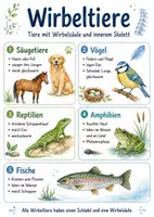 Vorschau - Arbeitsblätter - Lernposter + Arbeitsblätter zum Thema "Wirbeltiere" + Lösung & MP3 + Mindmap + Infografik - Deckblatt