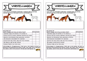 Vorschau - Arbeitsblätter - Forscherheft - Evolution - Selbständiges Arbeiten - Seite 3