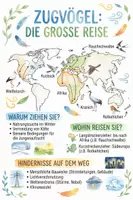 Vorschau - Arbeitsblätter - Lernposter + Arbeitsblätter zum Thema "Zugvögel" + Lösung & MP3 + Mindmap + Infografik - Deckblatt