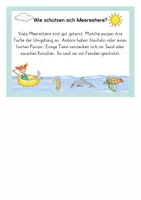 Vorschau - Arbeitsblätter - Materialpaket "Unter dem Wasser" | Materialsammlung Meer | Sommer - Seite 3
