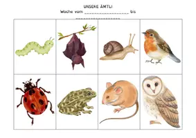 Vorschau - Präsentationen/Tafelbilder - Ämtliplan Wald & Wiese, 24 Ämtli für Kindergarten und Primarstufe - Seite 2