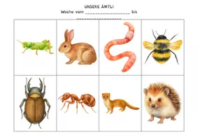 Vorschau - Präsentationen/Tafelbilder - Ämtliplan Wald & Wiese, 24 Ämtli für Kindergarten und Primarstufe - Seite 3