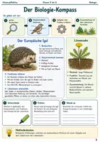 Vorschau - Arbeitsblätter - Biologie Grundlagen Arbeitsheft Klasse 5 bis 6 - Seite 2
