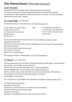 Vorschau - Stundenentwürfe - Das Hausschwein (Stundenverlauf und Material) - Seite 1