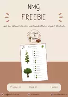 Vorschau - Arbeitsblätter - Freebie: Baumdetektiv 1./2. Klasse - Deckblatt