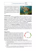 Vorschau - Arbeitsblätter - Ökosystem See: Lebensgemeinschaften im See mit Lösung - Seite 1