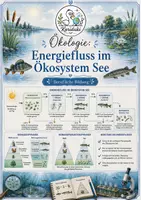 Vorschau - Arbeitsblätter - Ökosystem See: Energiefluss – Arbeitsblatt mit Lösung | Berufliche Bildung - Deckblatt