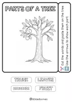 Προεπισκόπηση - Flashcards - Τα Φυτά - Σελίδα 3