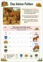Vorschau - Arbeitsblätter - Alles rund um das Pferd Wissens- und Mitmachheft (Kita - 1. Klasse) - Seite 3