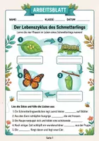 Vorschau - Arbeitsblätter - Lebenszyklus Schmetterling - Arbeitsblatt, Illustriert - Deckblatt