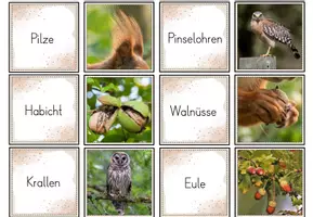 Vorschau - Spiele - Eichhörnchen – Paarspiel | Sachunterricht Klasse 1–2 | Freiarbeit - Seite 3