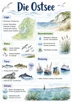Vorschau - Arbeitsblätter - Lernposter + Arbeitsblätter zum Thema "Ostsee" (Lückentext, Hörverstehen) + Lösung & MP3 + Mindmap + Infografiken - Deckblatt