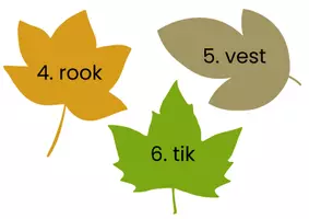 Voorbeeld - herfstbladeren loopdictee - groep 3 - Pagina 2