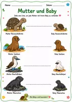 Vista previa - Galápagos Ausdruckbare Lernblätter für Kindern - página 2