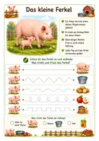 Vorschau - Arbeitsblätter - Alles rund um das Schwein Wissens- und Mitmachheft (Kita - 1. Klasse) - Seite 3